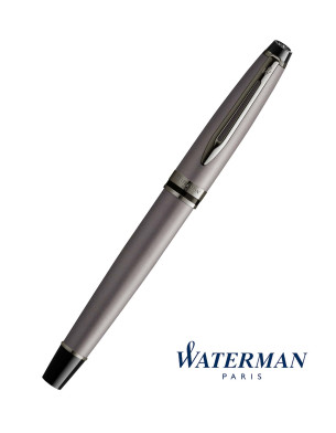 Waterman Expert Rollerball Pen - Metallic Silver