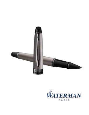 Waterman Expert Rollerball Pen - Metallic Silver