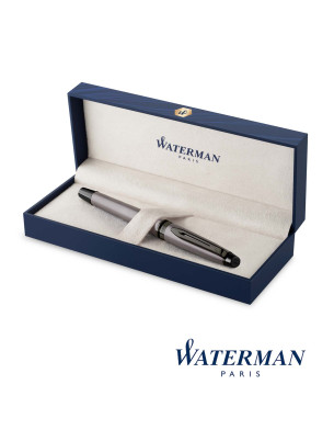 Waterman Expert Rollerball Pen - Metallic Silver