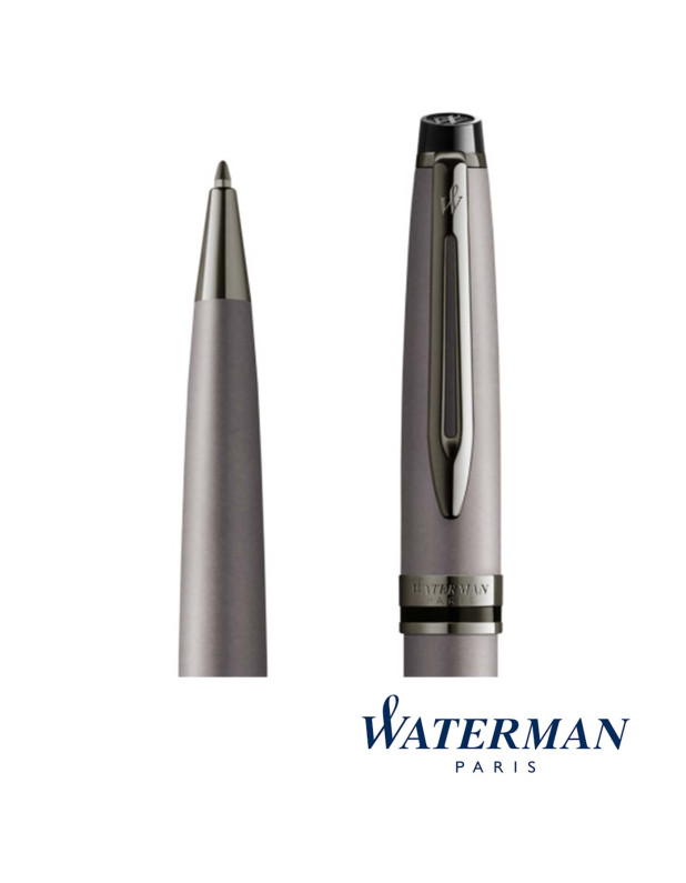 Waterman Ballpoint Pen Expert - Metalic Silver