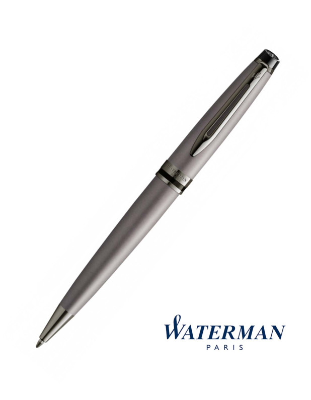 Waterman Ballpoint Pen Expert - Metalic Silver