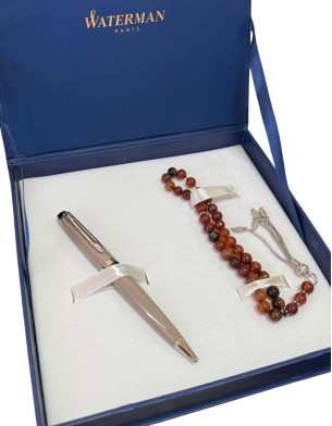 Waterman Expert Taupe CT Ballpoint pen