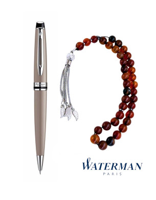 Waterman Expert Taupe CT Ballpoint pen