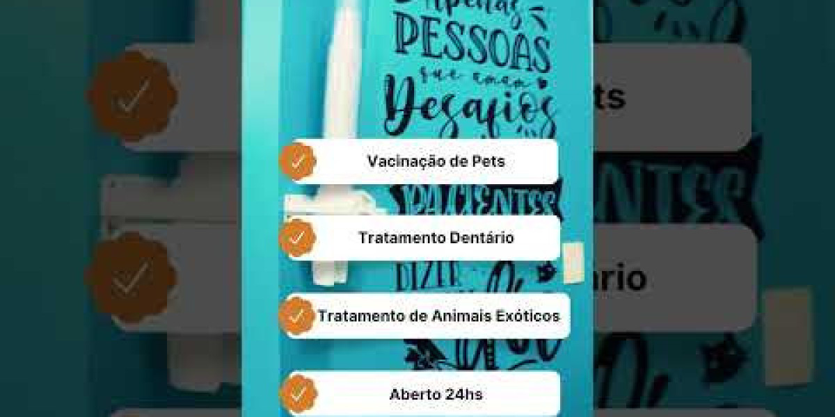 Hemodiálisis en veterinaria: un tratamiento imprescindible para las mascotas con insuficiencia renal