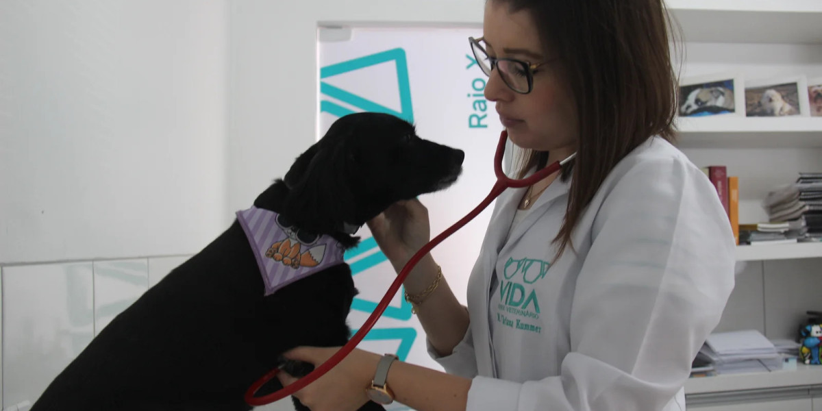 Dog Wellness Exams Katy, TX Mayde Creek Animal Center