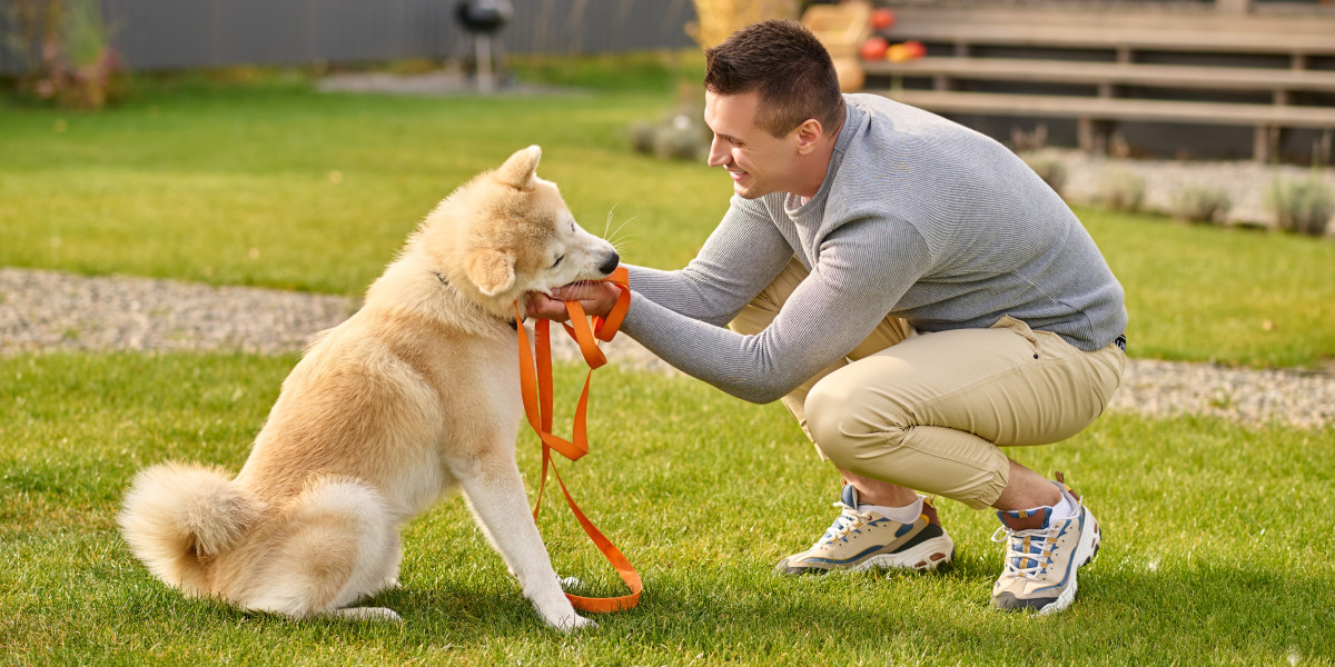 How to Treat Pets with Love and Care: Essential Tips for Pet Owners