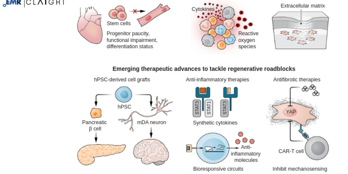 Regenerative Medicine Market Analysis | Trends & Growth Size 2034