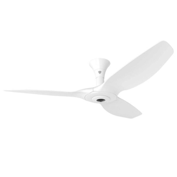 Ceiling Fan Shop - Buy Designer Ceiling Fans with Lights Online in Singapore