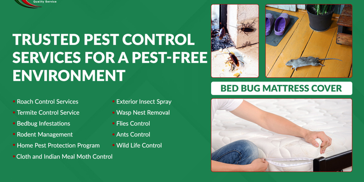 Bed Bug Treatment Vaughan – Fast, Effective, and Discreet Pest Control
