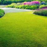 Price Is Right Taxi Services Profile Picture