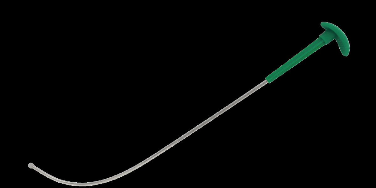 How Single-Use Intubation Stylets are Redefining Intubation Protocols in Hospitals