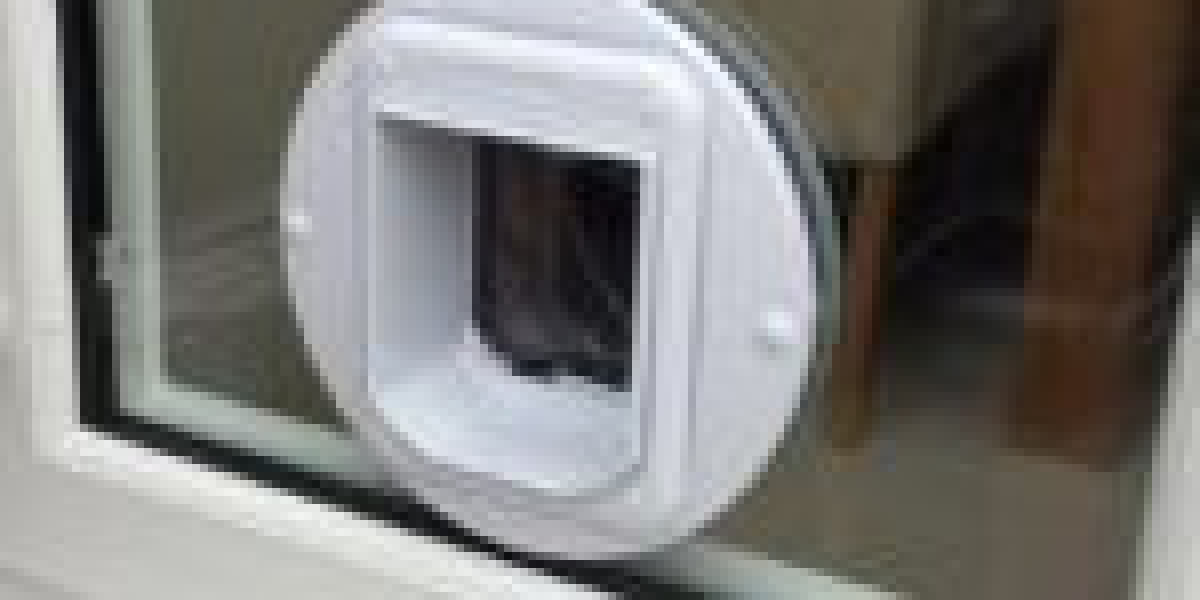 10 Ways To Create Your Cat Flap Specialist Empire