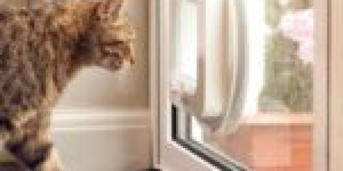 A The Complete Guide To Cat In Wall Door Fitting From Start To Finish