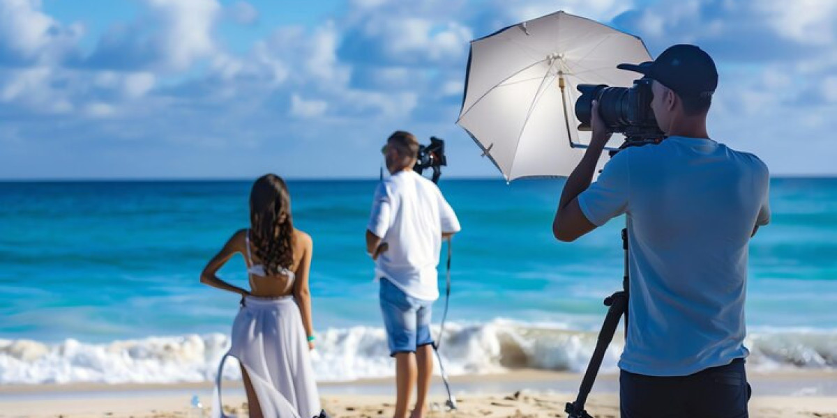 Capturing Coastal Moments: The Role of a Sanibel Island Photographer