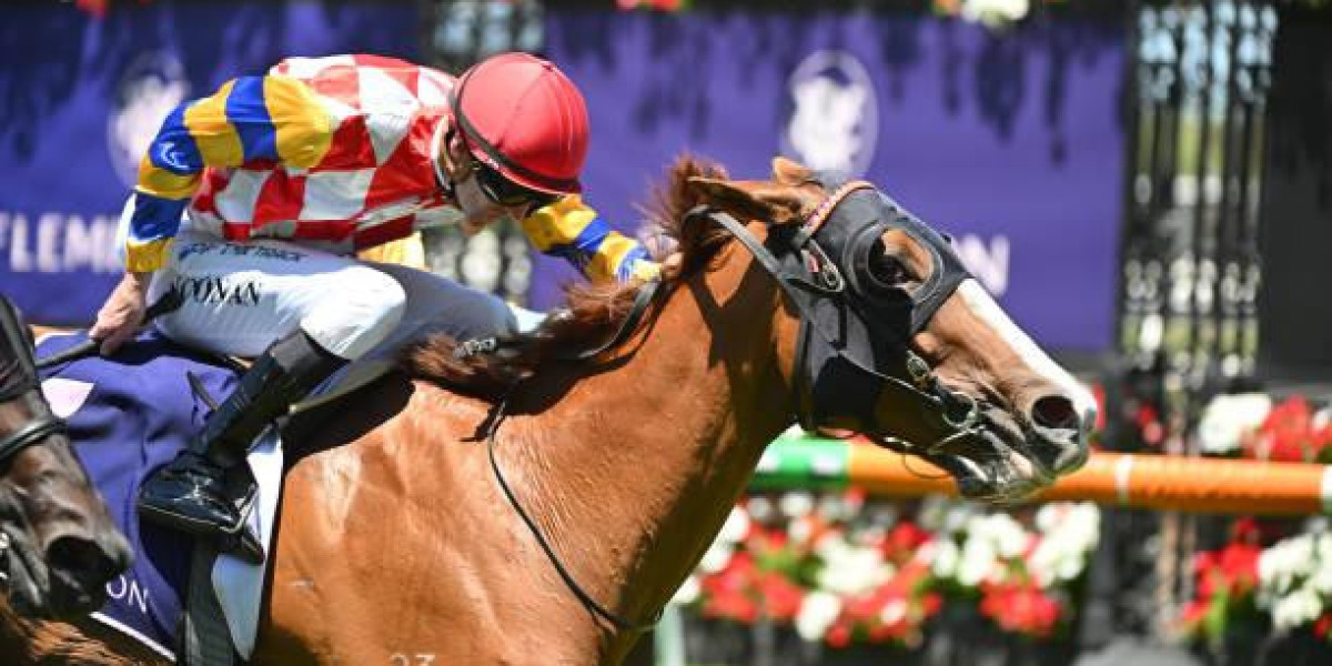 PalmerBet Australia: A Trusted Name in Online Betting