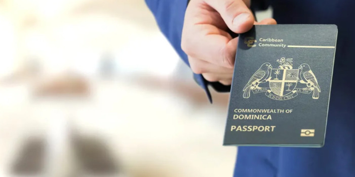 Turkey Visa from Dominica