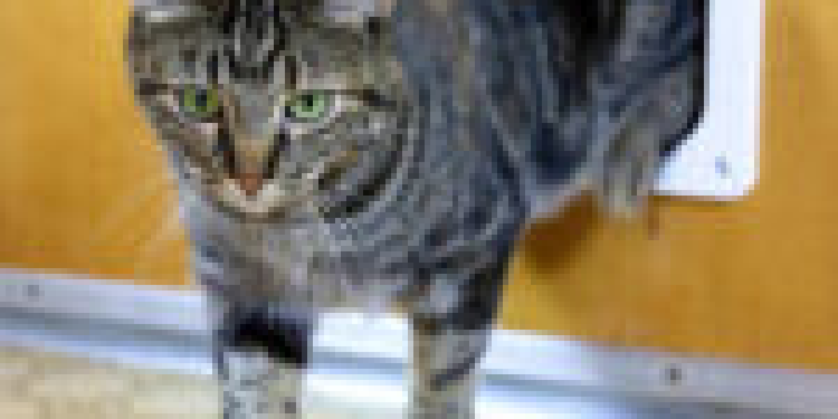 Don't Make This Silly Mistake You're Using Your Cat Door Installation