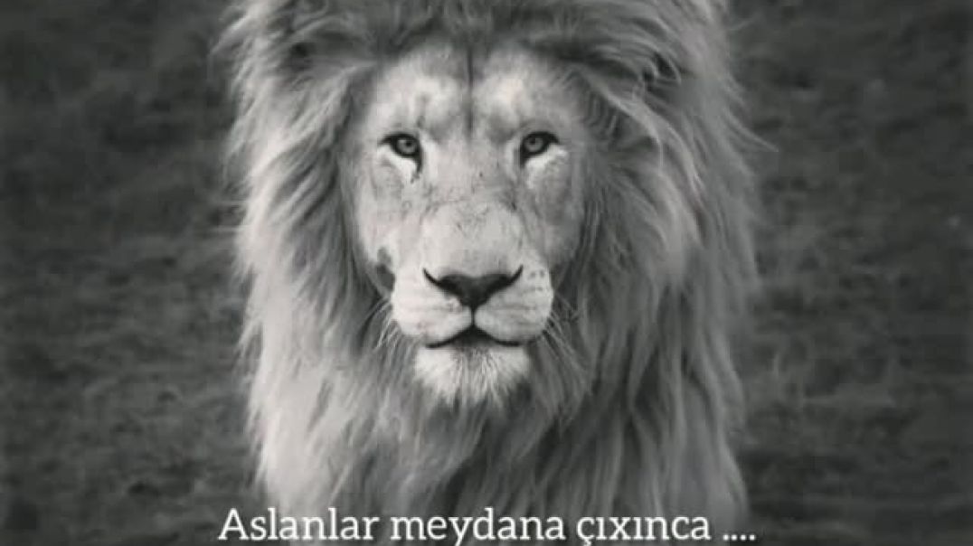 inbound5675879215419864175