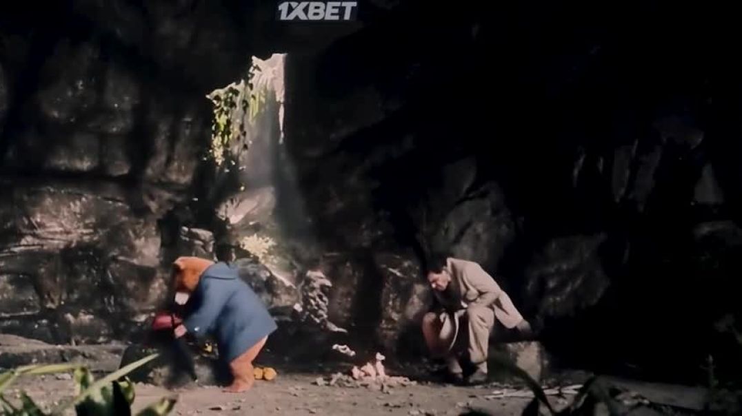 Ayı Paddington Peru