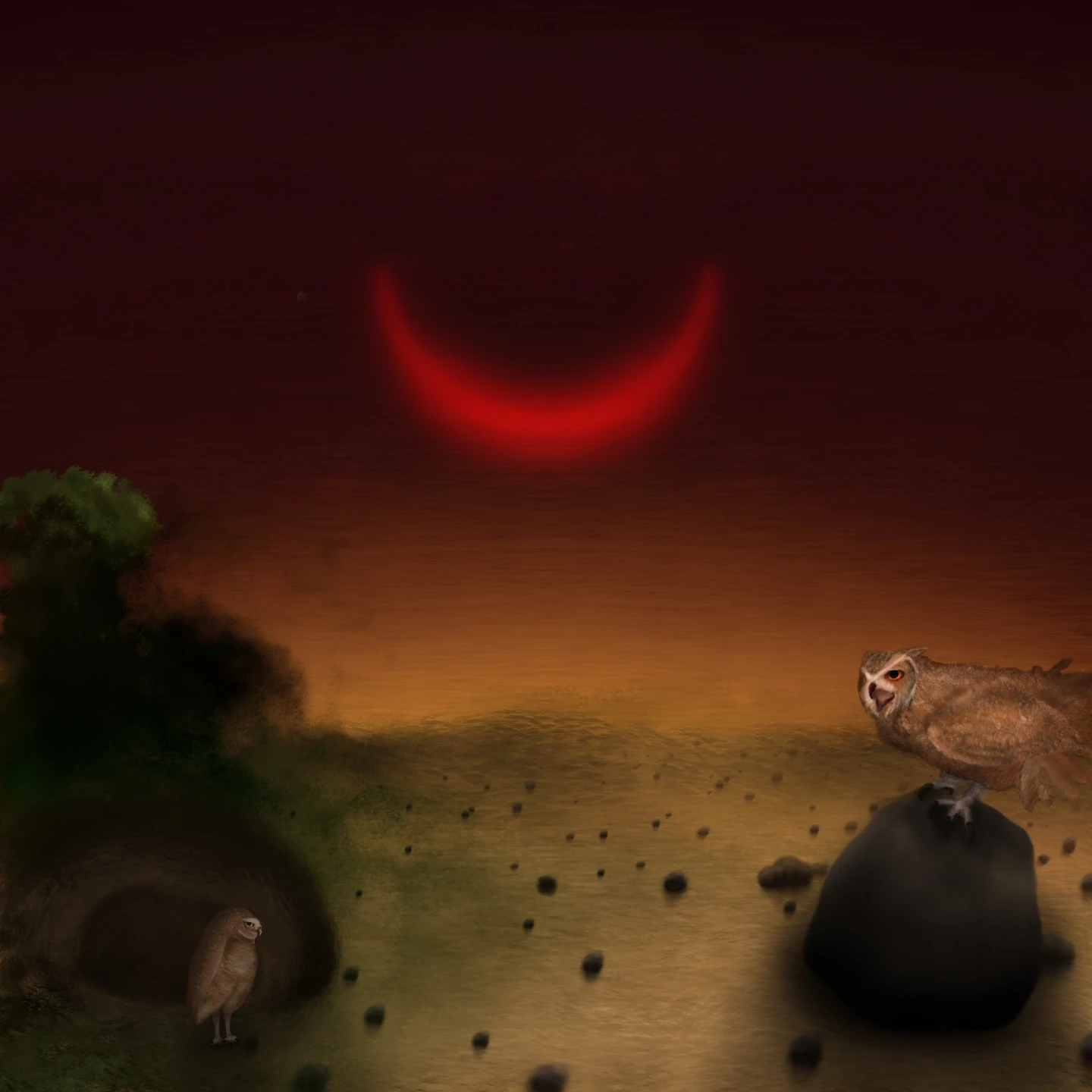Artistic depiction of two owls unusually sitting at different simultaneous biomes while facing each other. The leftmost _A. cunicularia_ stands next to the entrance of a burrow. She is seen in profile, turned rightwards as she looks at the Pharaoh eagle-owl with a scheming and defiant expression. The rightmost _B. ascalaphus_ is perched on a boulder roughly at the same distance from the viewer (so the disparate sizes is evident). She's also seen in profile, but turned leftwards, as she looks at the burrowing-owl with a purposefully ambiguous expression (open mouth as if screeching, body slightly leaned forwards with ruffled plumage, visibly hard grip onto the surface of the boulder, wide but half-closed eyes, traits that can be either a defense-attack, dominance pose; or simply the clumsy attempt from an innately strong owl to greet a smaller owl). The leftmost biome is dominated by grass and other vegetation alongside the burrow, all covered in shadows by dense trees at the horizon. The rightmost is an open, plain desert, with some scattered pebbles and rocks, alongside the boulder where the Pharaoh eagle-owl is perched. The biomes meet almost seamlessly, with a somewhat gradual transition between grass and sand. The dusk sky is dominated by a large, red crescent Moon, while the Sun is barely visible setting below the horizon.