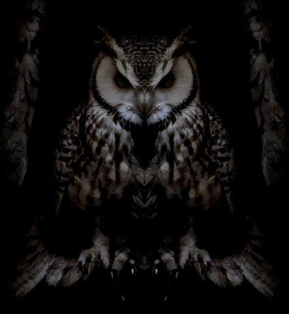Daemon Silverstein