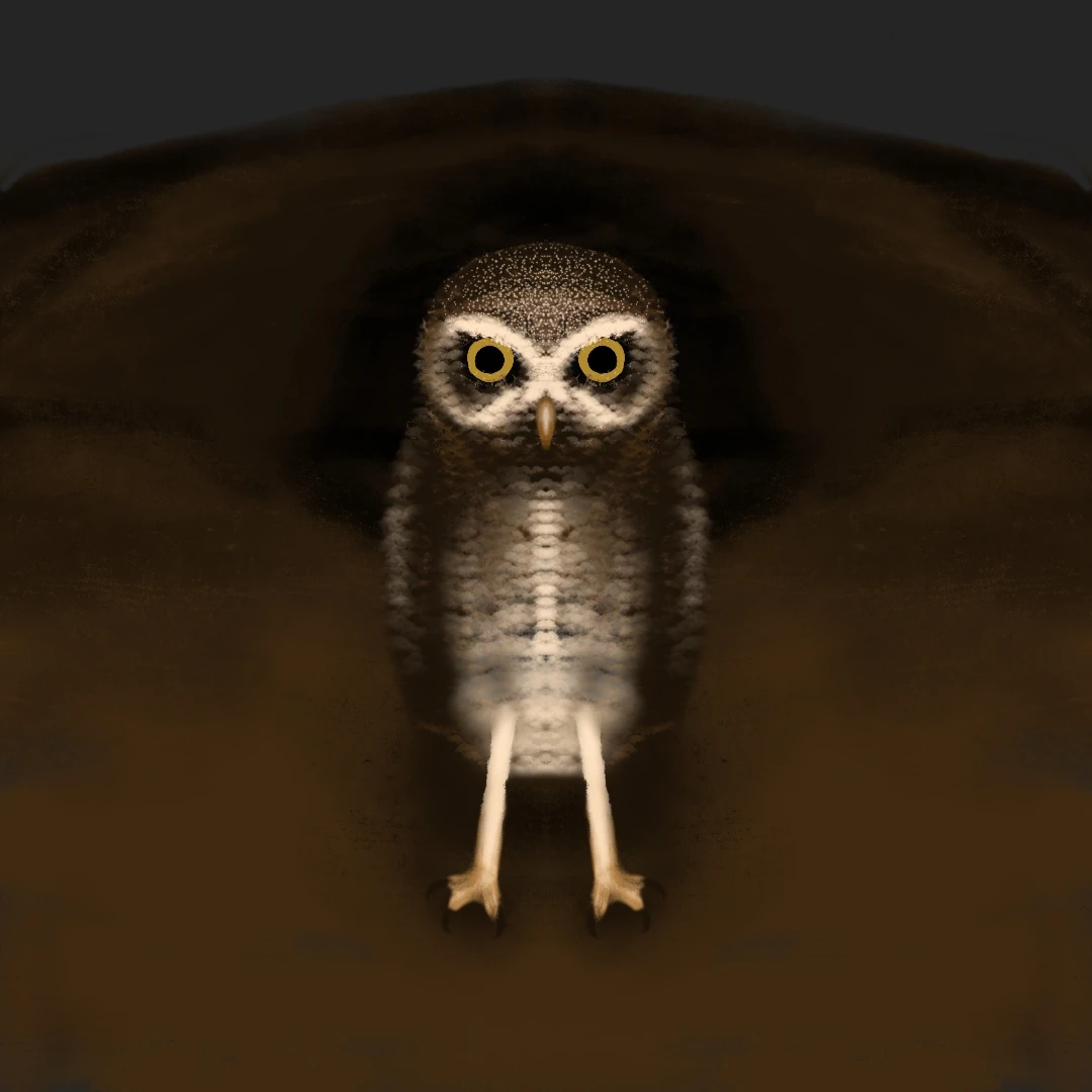 Final drawing depicting an Athene cunicularia standing on a dirt soil, in front of a burrow/cave entrance.