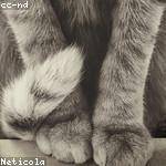 Etha Krajcik Profile Picture