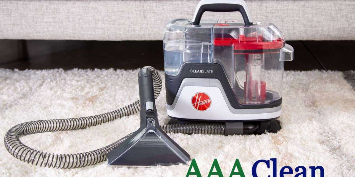 Why Professional Carpet Cleaning Services Win