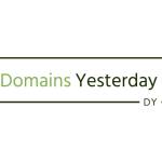 Domains Yesterday Profile Picture