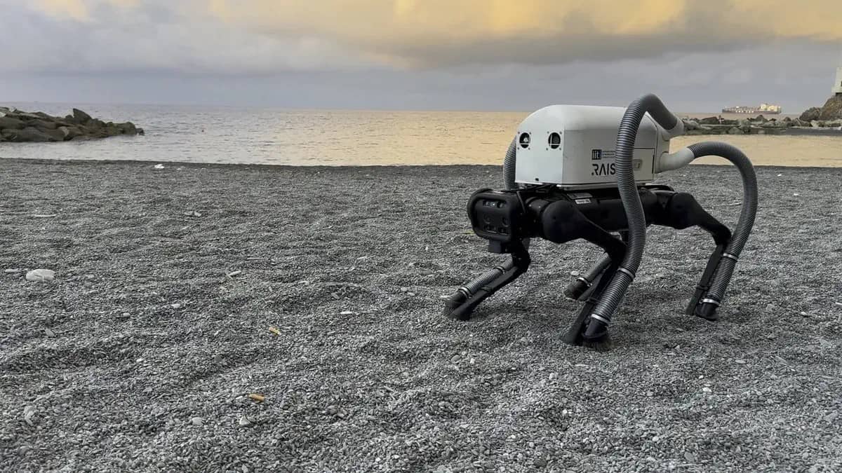 VERO il cane robot fa raccolta rifiuti in spiaggia (con le zampe)