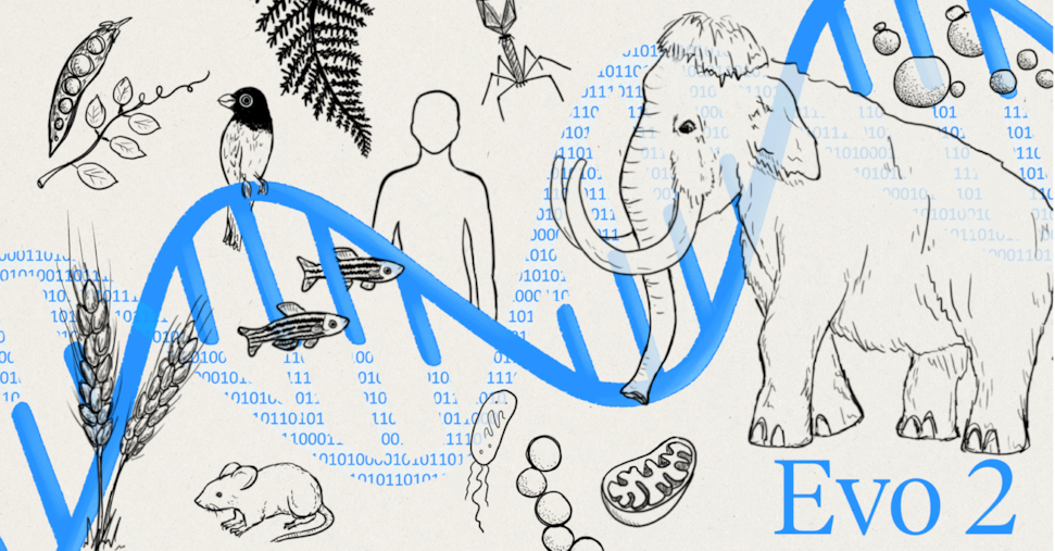 Evo 2 è l’intelligenza artificiale più potente mai creata per la biologia - Il Sole 24 ORE