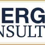 Boerger Consulting ITAM Coaches Profile Picture