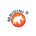 Mridini Castings L.L.P. Profile Picture