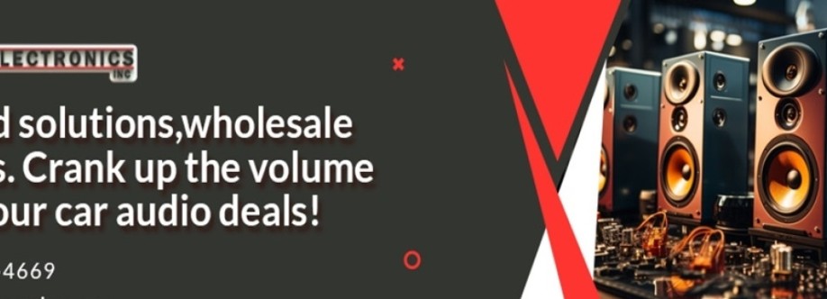 Big 5 Electronics Cover Image