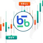Bitbse Exchange Profile Picture