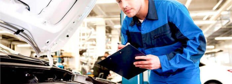 Zoyz Auto Services Ltd Cover Image