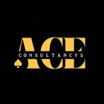 Ace Consultancys Profile Picture
