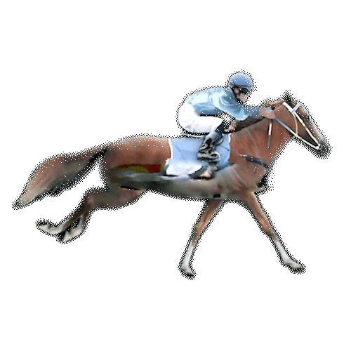 Sky Exchange – Trusted Online Cricket Betting Platform in India