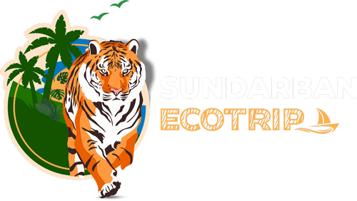 Sundarban Tour Package 2025 - Sundarban Eco Trip