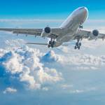 Vuelo latino Profile Picture