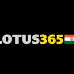 lotus3655 lotus365 Profile Picture