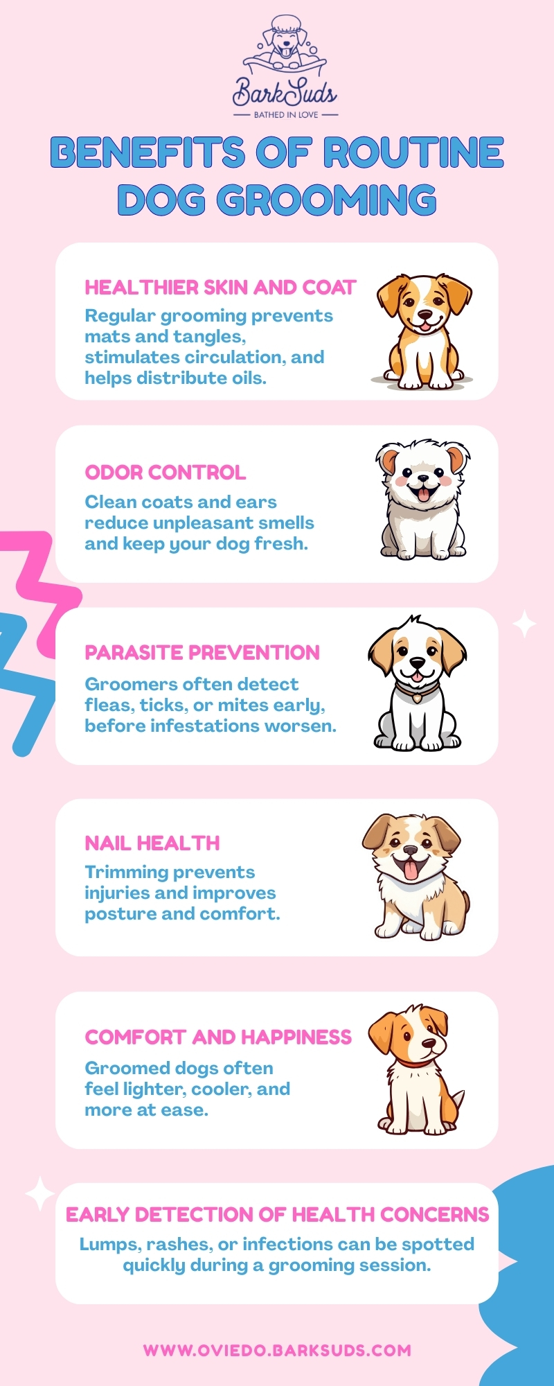 Why Regular Dog Grooming Matters for Your Pet’s Health and Happiness – Oviedo Barksuds