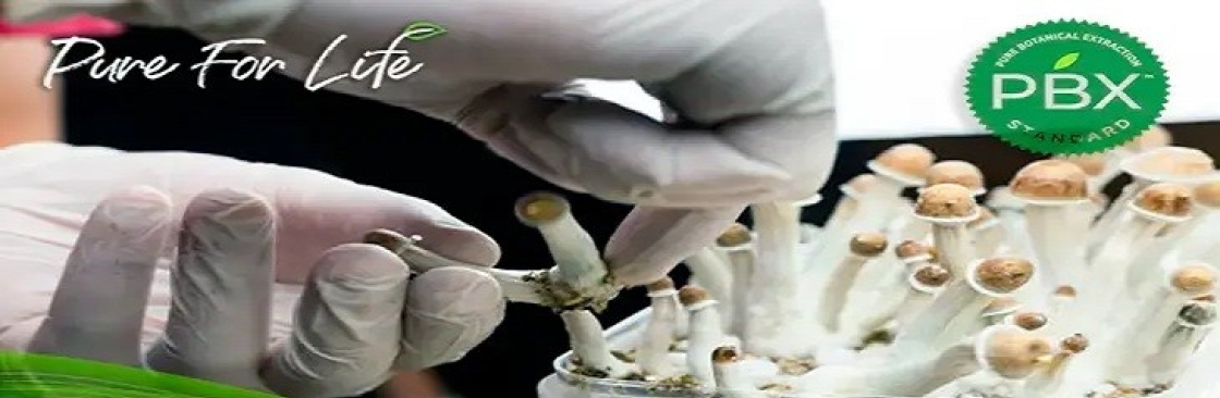 Pure For Life Cover Image