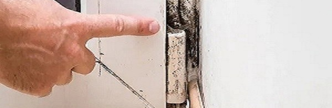Mould Doctors Cover Image