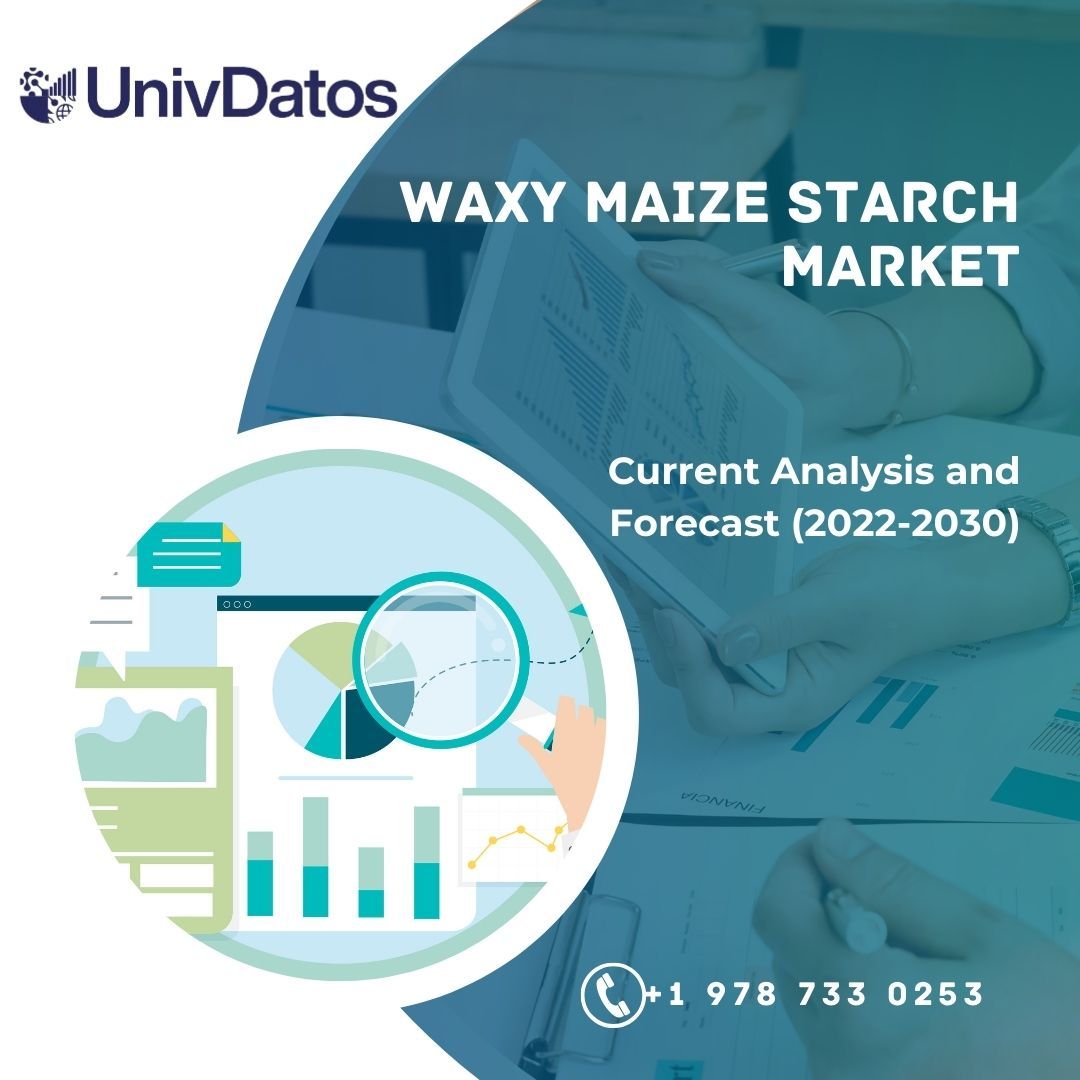 Waxy Maize Starch Market: Current Analysis and Forecast (2022-2030)