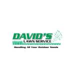 davidslawnservice Profile Picture