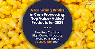 Corn Grits: A Nutritious Staple and the Role of a Leading Corn Grits Manufacturer – @techt6090 on Tumblr