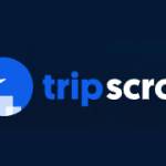 Trip Scroll Profile Picture