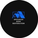 Spic And Span Roof Restoration Profile Picture