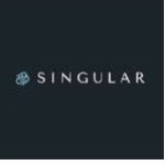 Singular Global Profile Picture